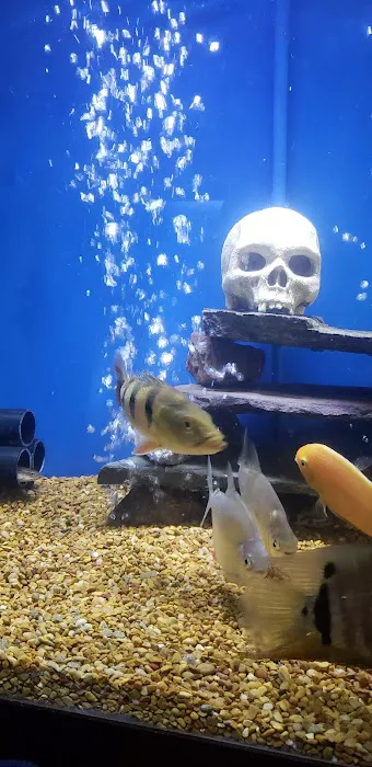 Jungle Aquatics 6