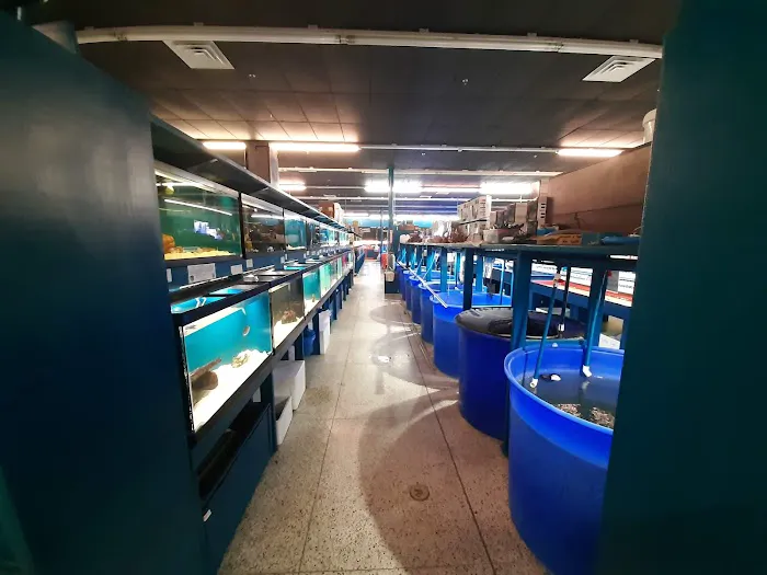 Jungle Aquatics 2