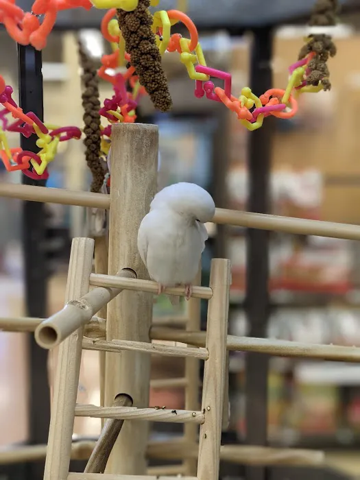 Petco 7