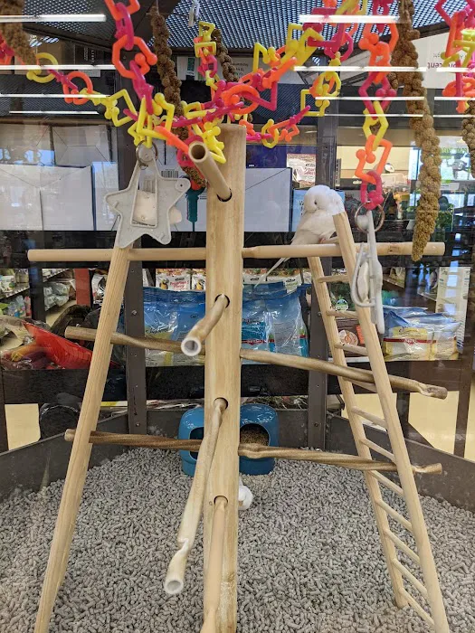 Petco 9