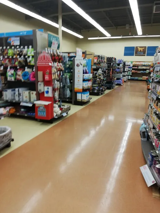 Petco 8