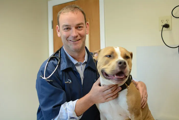 East Springfield Veterinary Hospital 2