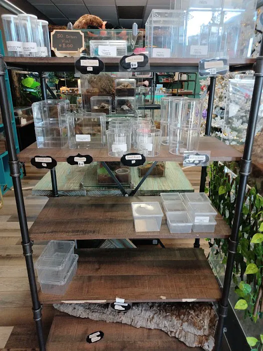 Fear Not Tarantulas, Inc 6