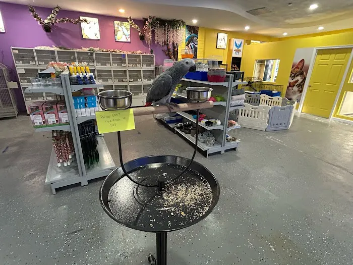 Phoenix Pets 7
