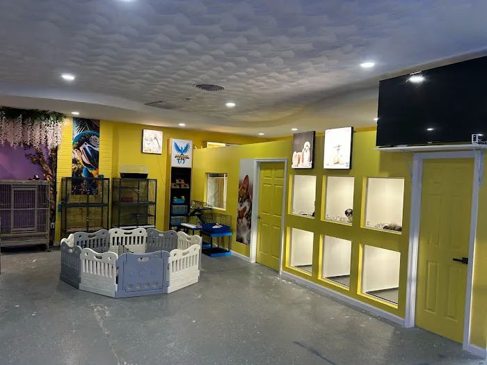 Phoenix Pets 8