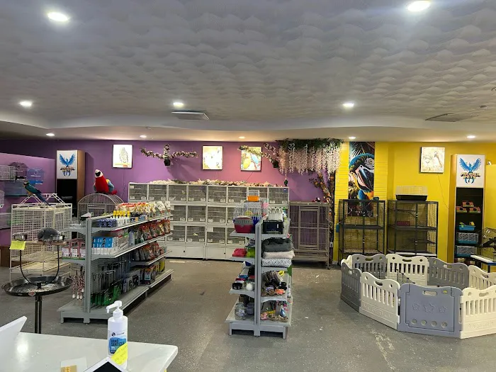 Phoenix Pets 2