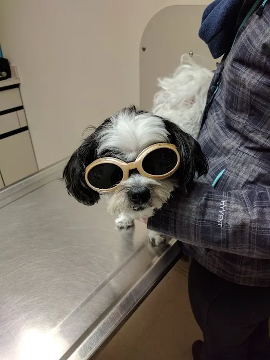 Town & Country Veterinary Associates 9