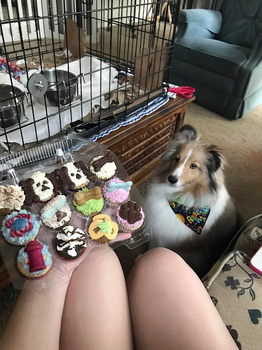 My Best Friends Cupcakes 8