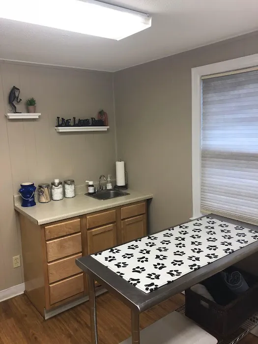 VCA Animal Hospital of Vernon 3
