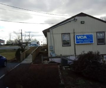 VCA Animal Hospital of Vernon