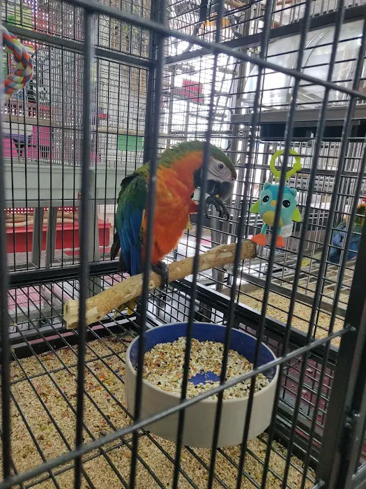 Pet Paradise 10