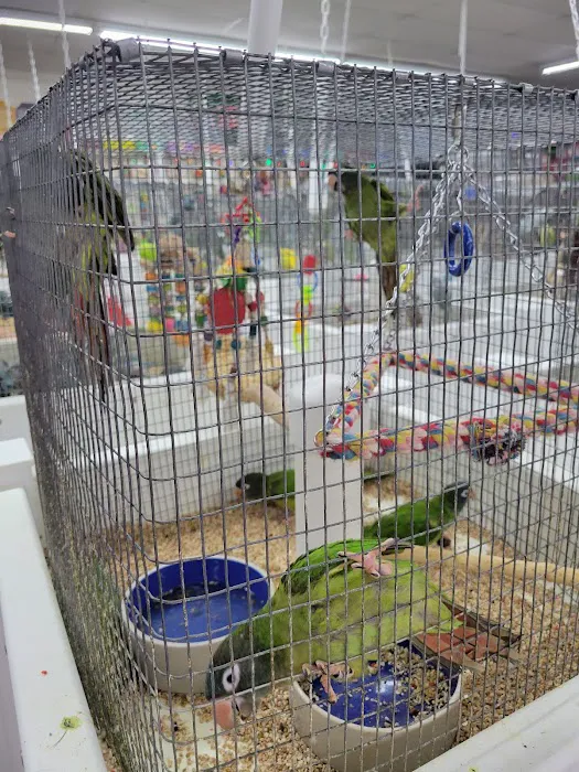 Pet Paradise 3