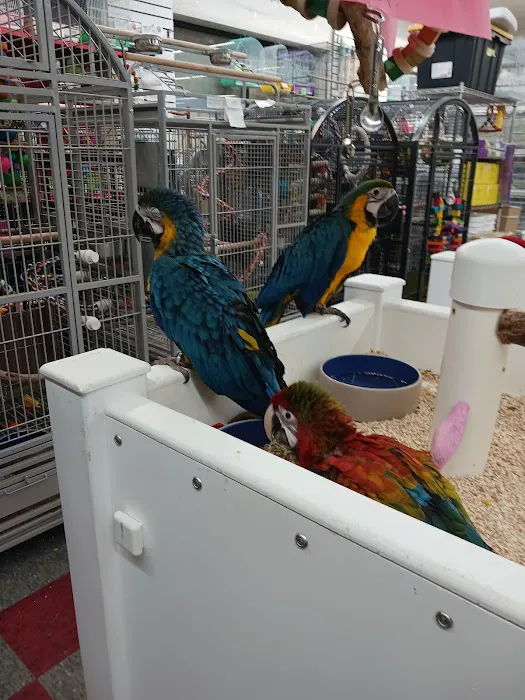 Pet Paradise 2