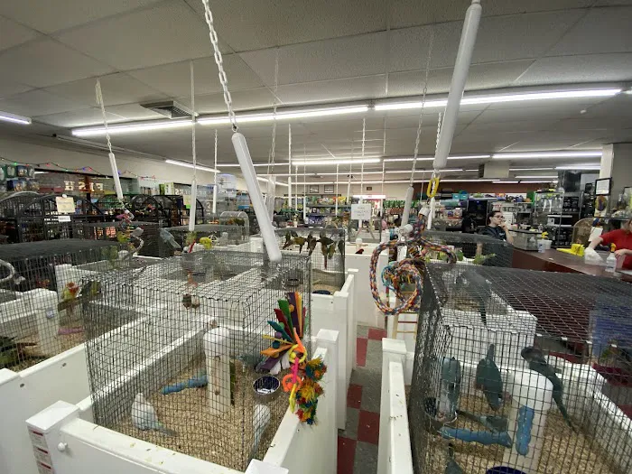 Pet Paradise 5