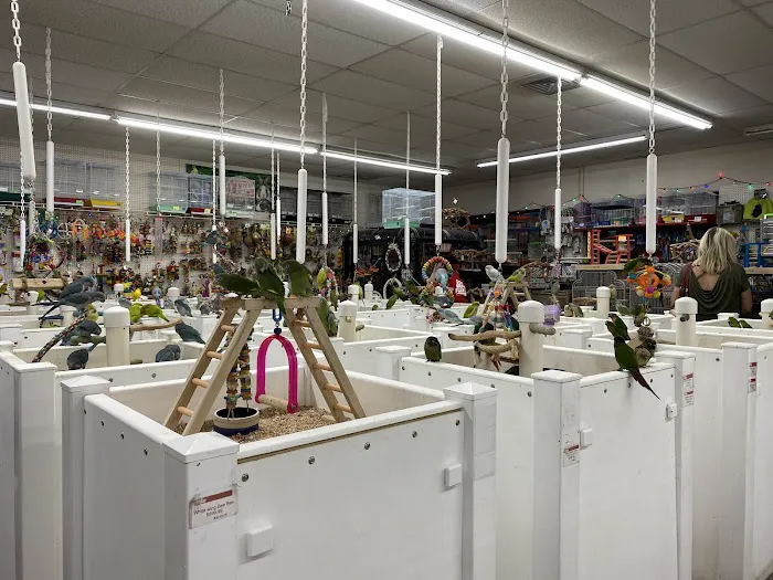 Pet Paradise 6