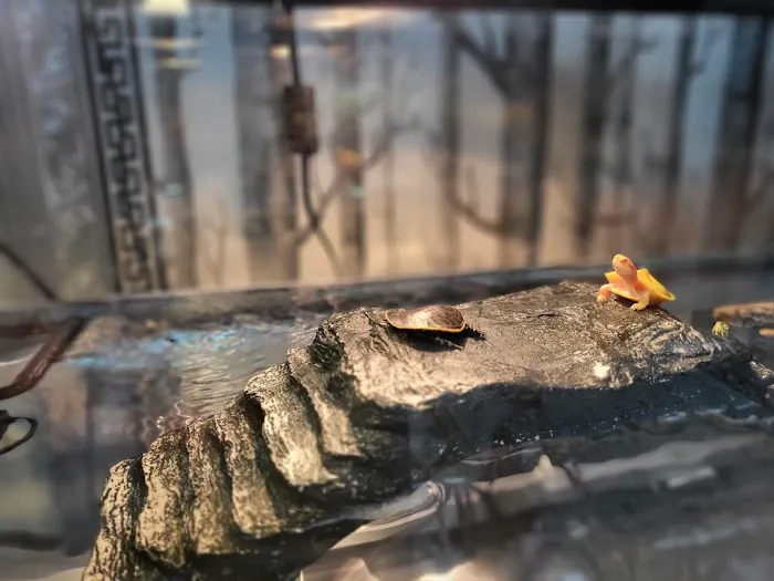REPTILES UNLIMITED LLC 4