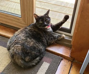 Burnt Hills Veterinary Hospital