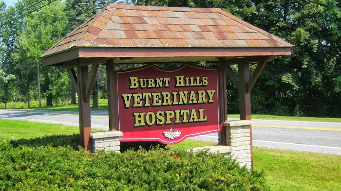 Burnt Hills Veterinary Hospital 3