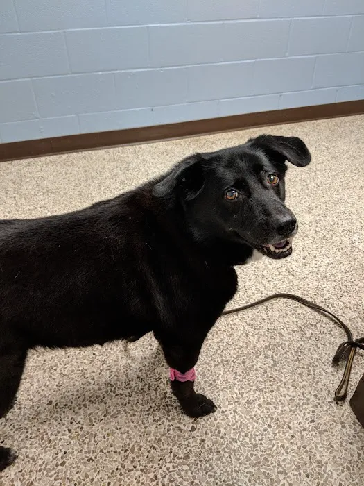 Clifton Park Veterinary Clinic 8