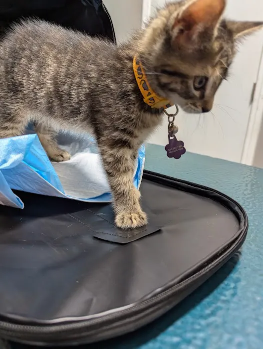 Lebanon Veterinary Hospital 1
