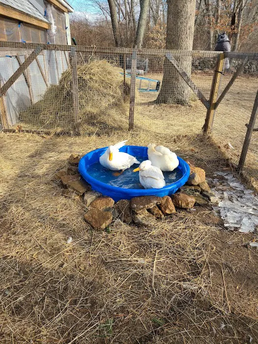 Lebanon Veterinary Hospital 5