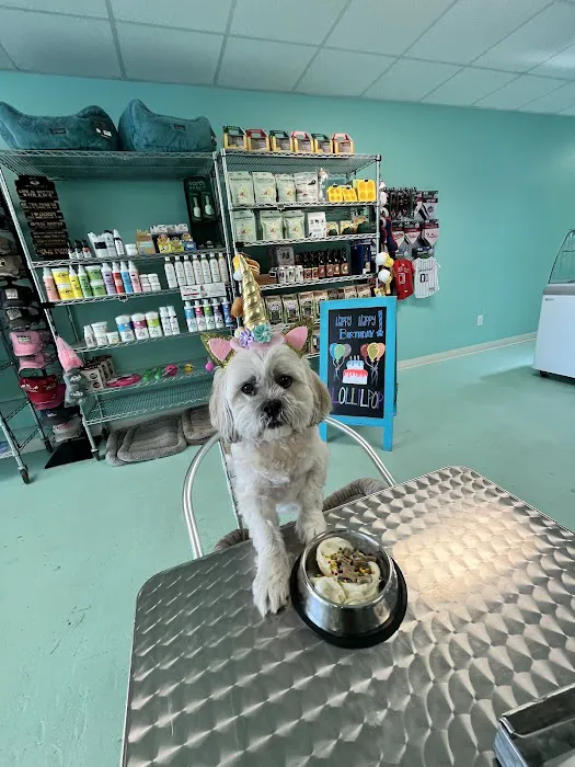 Salty Paws Chic's Beach 7