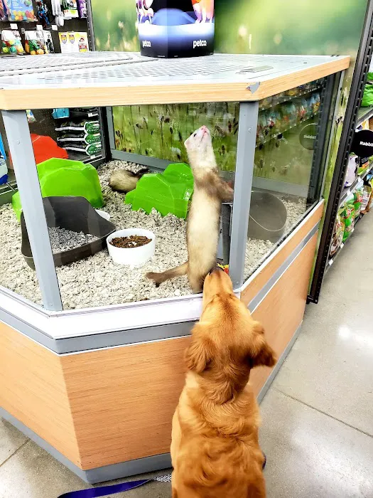 Petco 6