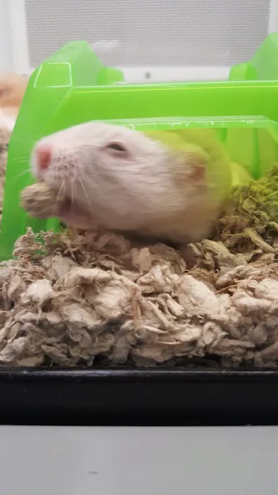 Petco 8