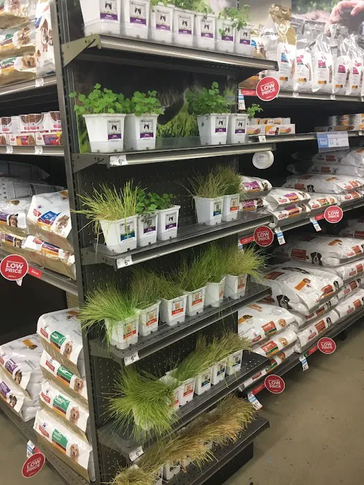 Petco 4