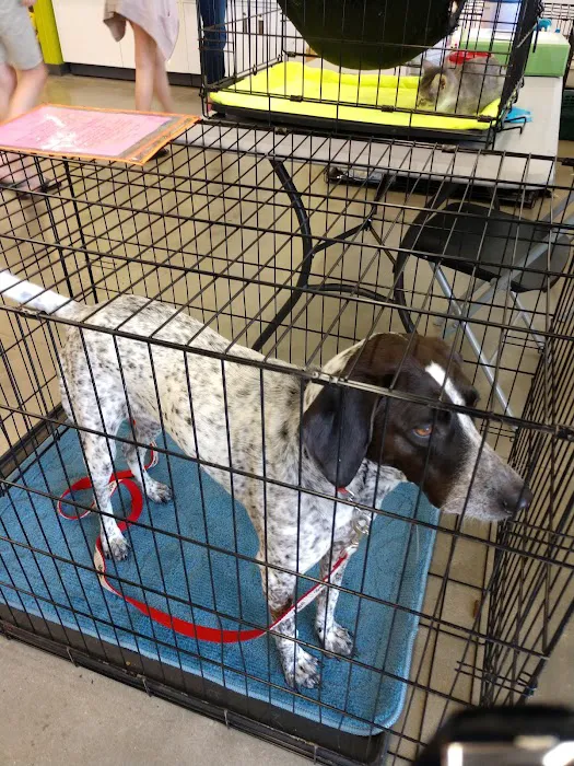 Petco 9