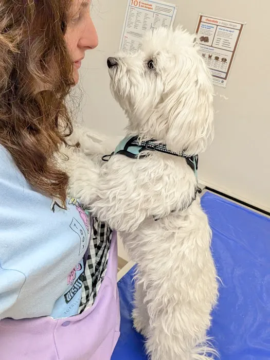Montville Animal Hospital 8