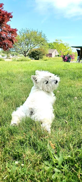 Montville Animal Hospital 7
