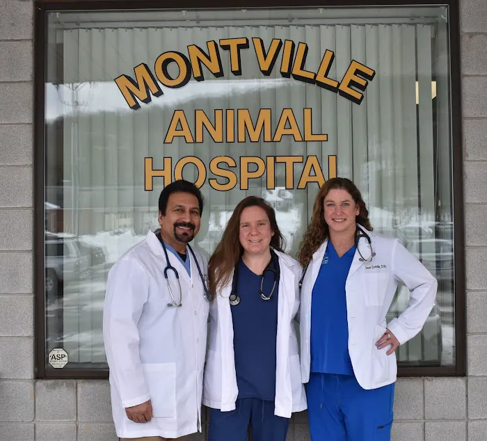 Montville Animal Hospital 10