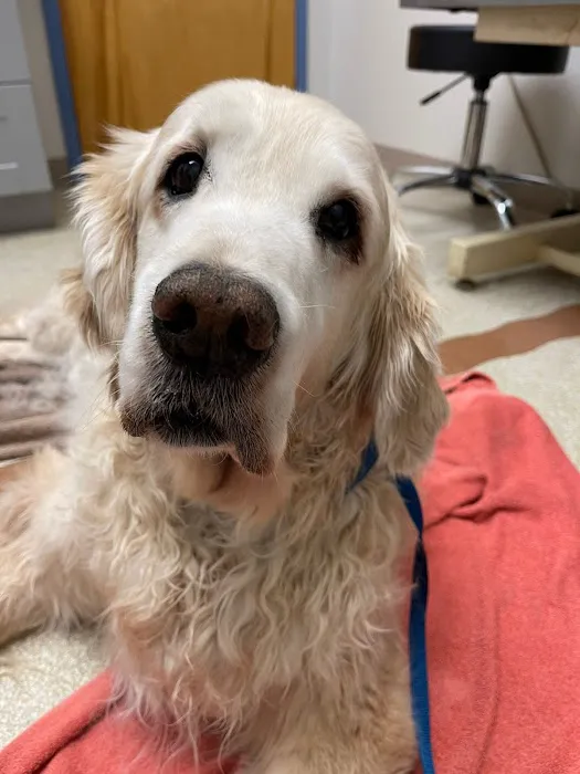 Montville Animal Hospital 1