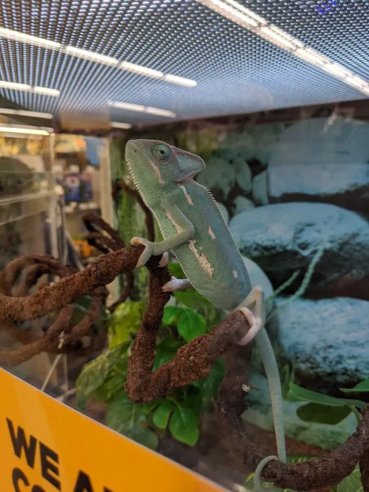 Petco 1