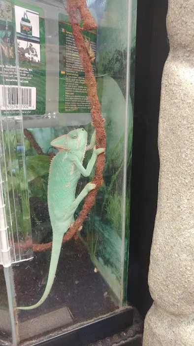 Petco 9
