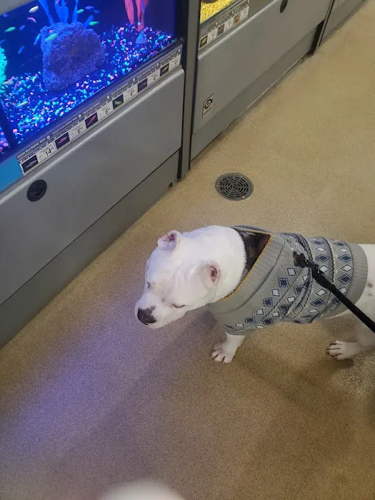 Petco 10
