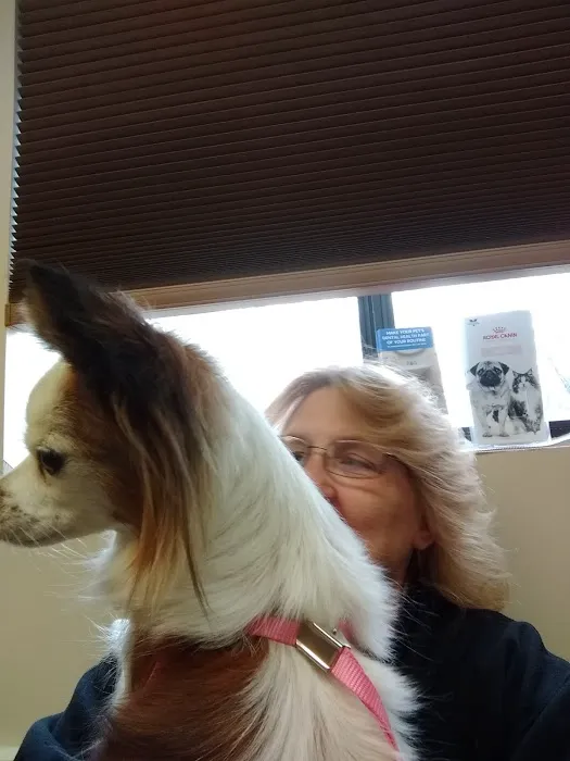 All Friends Animal Hospital 4