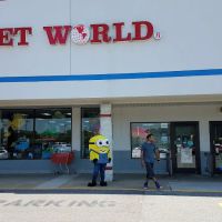 Pet World ico