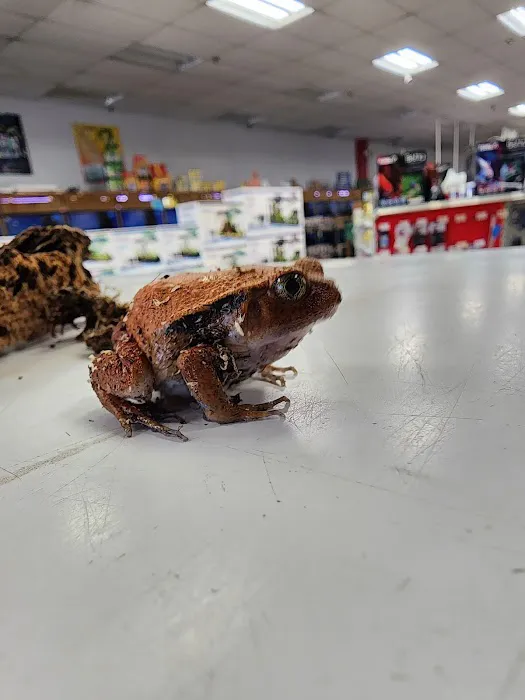 Pet World 9