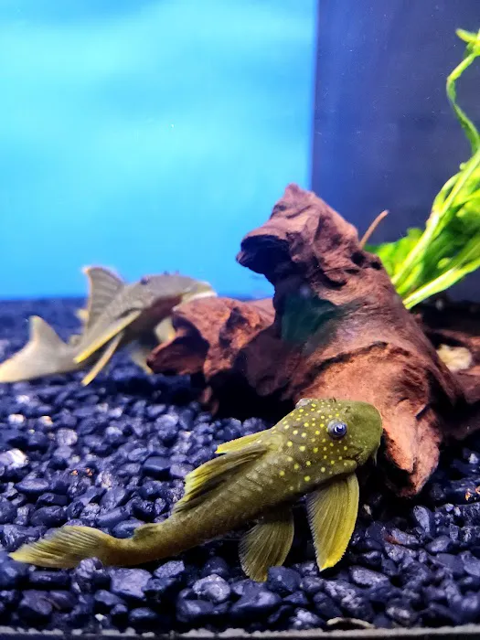 Pet World 7
