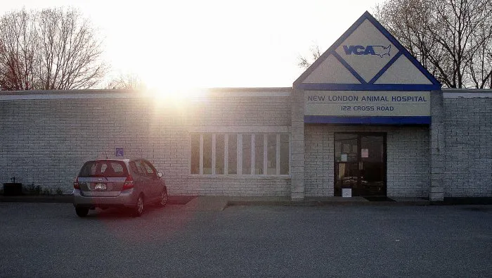 VCA New London Animal Hospital 9