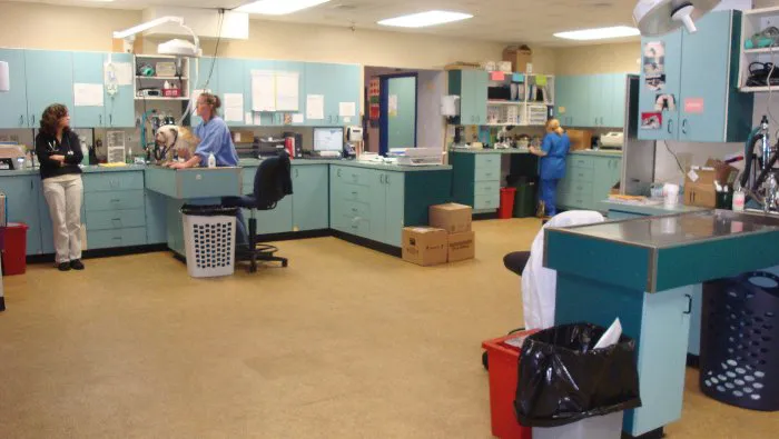 VCA New London Animal Hospital 7