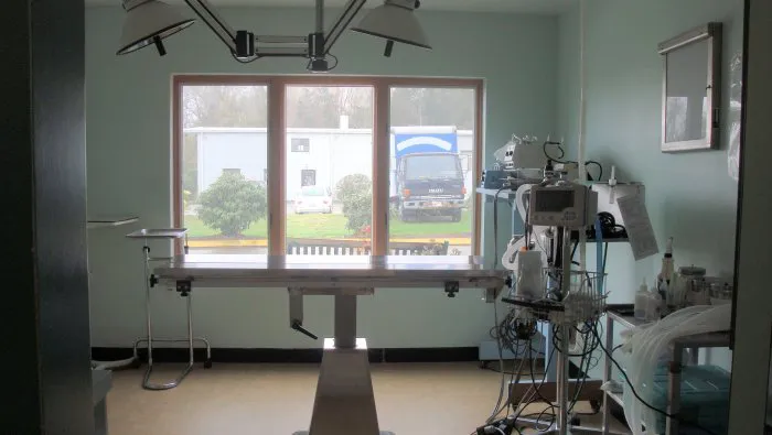 VCA New London Animal Hospital 3