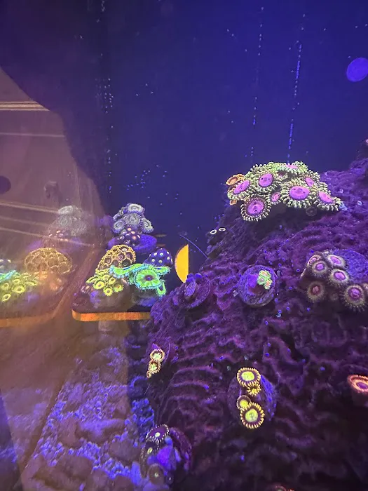 The Reef Room LLC 3