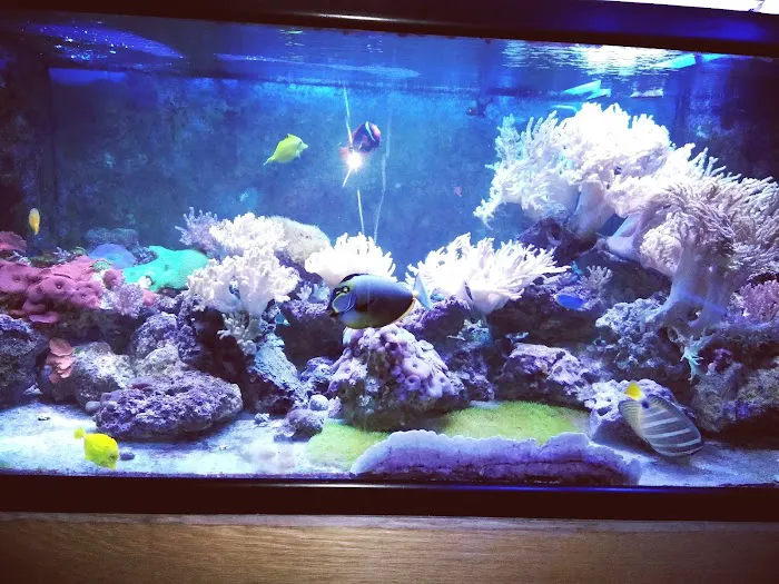 The Reef Room LLC 9