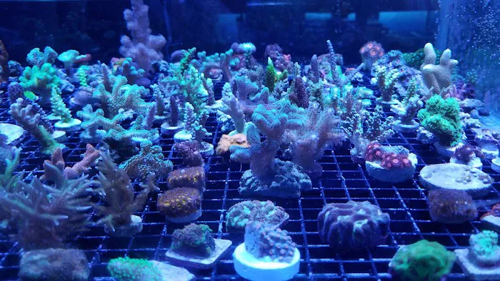 The Reef Room LLC 4