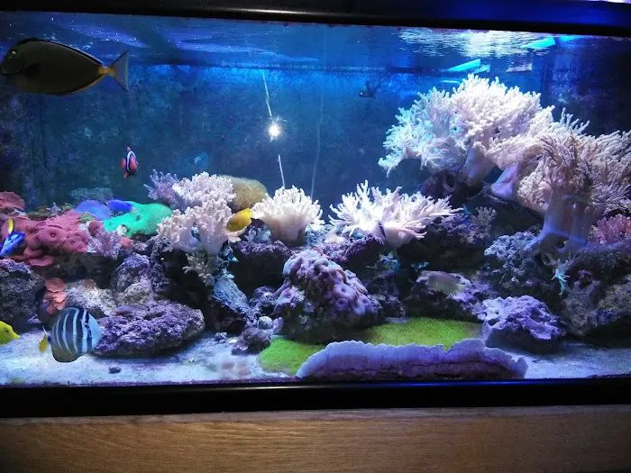 The Reef Room LLC 5