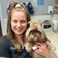 Clinton Veterinary Hospital ico