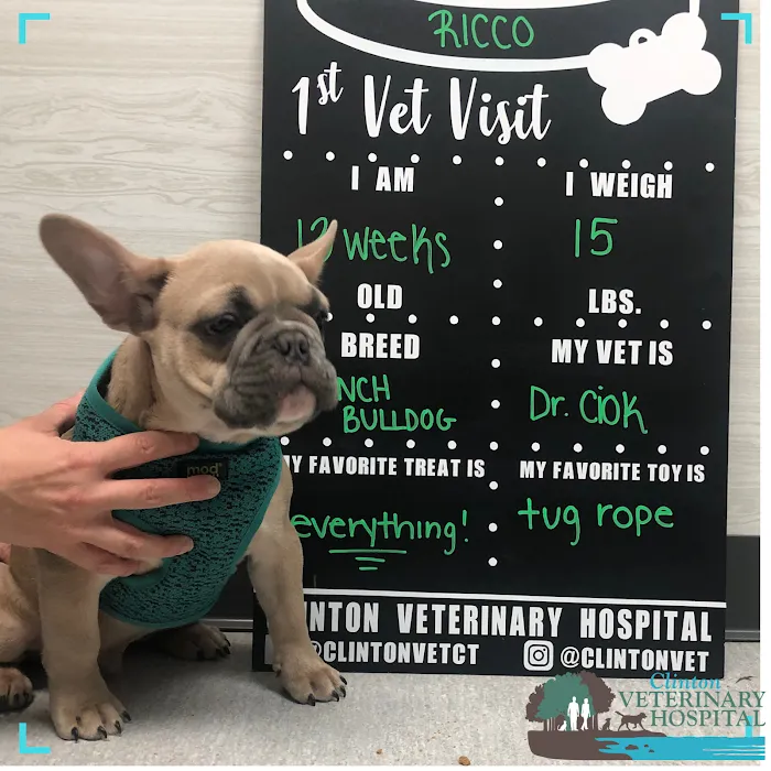 Clinton Veterinary Hospital 10